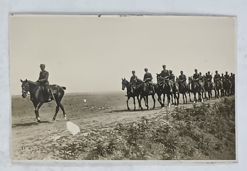 CAVALERISTI ROMANI , IN FORMATIE , CALARE , PE CAMP , CARTE POSTALA , INTERBELICA