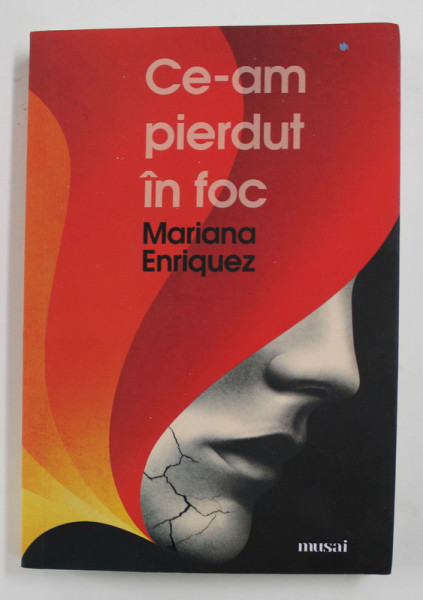 CE-AM PIERDUT IN FOC de MARIANA ENRIQUEZ , 2017