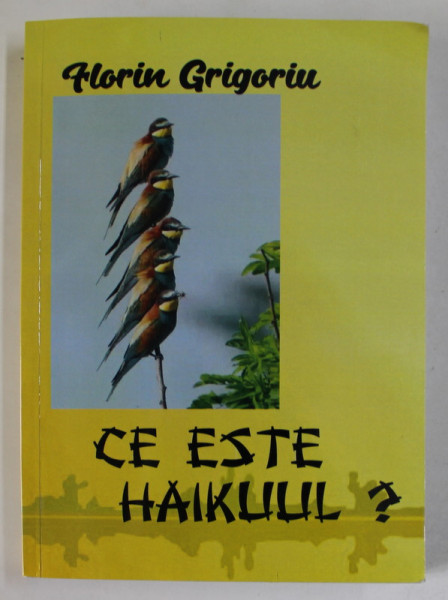 CE ESTE HAIKUL ? de FLORIN GRIGORIU , 2021