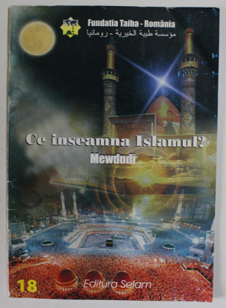 CE INSEAMNA ISLAMUL-  MEWDUDI , 2005