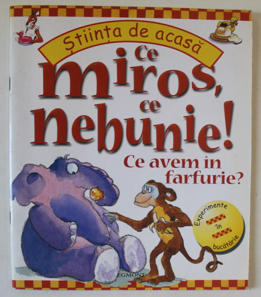 CE MIROS , CE NEBUNIE ! CE AVEM IN FARFURIE ? EXPERIMENTE IN BUCATARIE de JANICE LOBB , ilustratii de PETER  UTTON si ANN SAVAGE , 2007