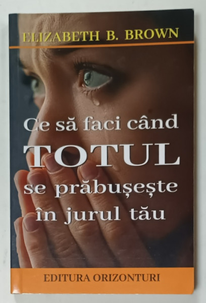 CE SA FACI CAND TOTUL SE PRABUSESTE IN JURUL TAU de ELIZABETH B. BROWN , 2021