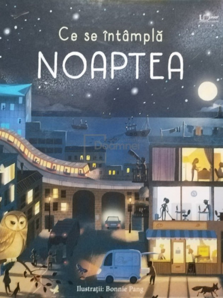CE SE INTAMPLA NOAPTEA , text de LAURA COWAN , ilustratii de BONNIE PANG , 2019 *EDITIE BROSATA