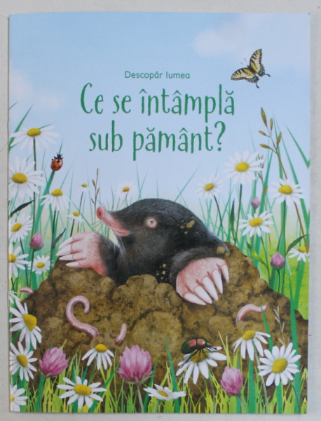 CE SE INTAMPLA SUB PAMANT ? - SERIA ' DESCOPAR LUMEA ' , text de EMILY BONE , ilustratii de MARIBEL LECHUGA , 2019