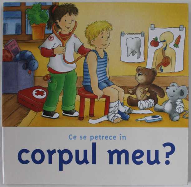 CE SE PETRECE IN CORPUL MEU ? de ANIKA STURM , ilustratii de LUKAS SCHNELL , ANII '2000