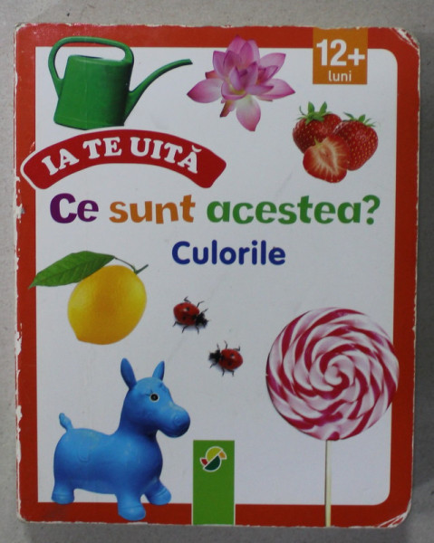 CE SUNT ACESTEA ? CULORILE , VARSTA 12 + LUNI , ANII '2000