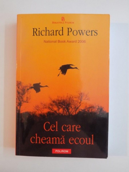 CEL CARE CHEAMA ECOUL de RICHARD POWERS , 2006