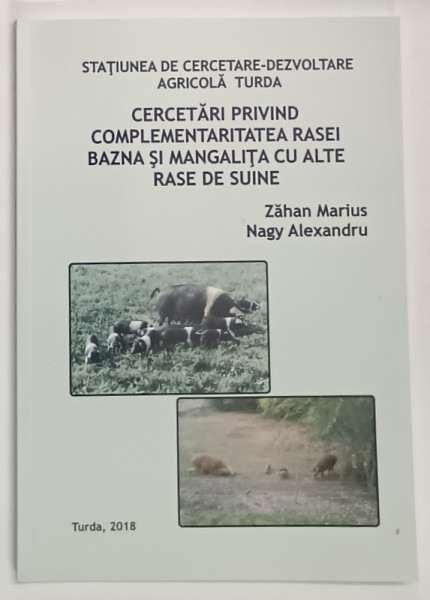 CERCETARI PRIVIND COMPLEMENTARITATEA RASEI BAZNA SI MANGALITA CU ALTE RASE DE SUINE de ZAHAN MARIUS si NAGHY ALEXANDRU , 2018