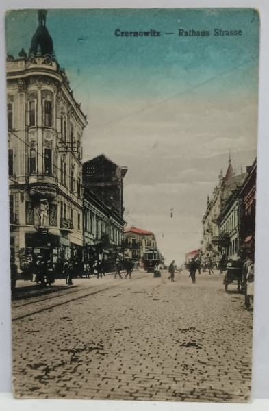 CERNAUTI , CLADIREA PRIMARIEI , CARTE POSTALA , INCEPUTUL SEC. XX