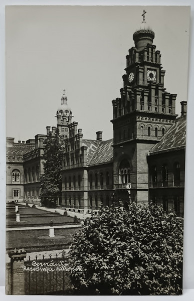 CERNAUTI , RESEDINTA MITROPOLITANA , FOTOGRAFIE TIP CARTE POSTALA , INTERBELICA