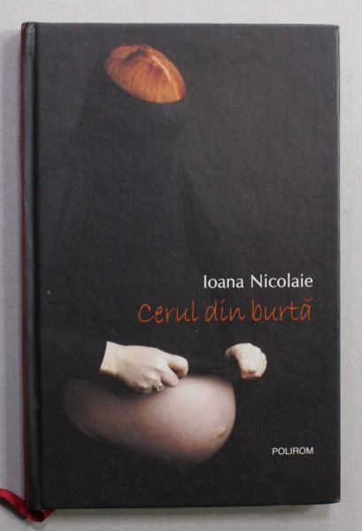 CERUL DIN BURTA de IOANA NICOLAIE , roman , 2010