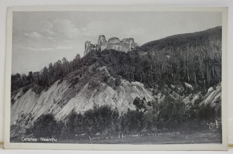 CETATEA NEAMTULUI , FOTOGRAFIE TIP CARTE POSTALA , INTERBELICA