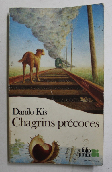 CHAGRINS PRECOCES par DANILO KIS , 1984