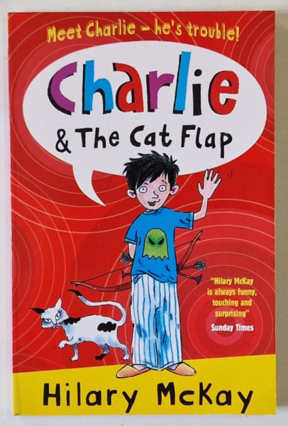 CHARLIE and THE CAT FLAP , by HILARY McKAY , illustrated by SAM HEARN , 2007