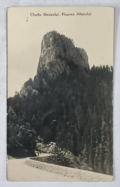 CHEILE BICAZULUI , STANCA ' FLOAREA ALTARULUI ' , 1943