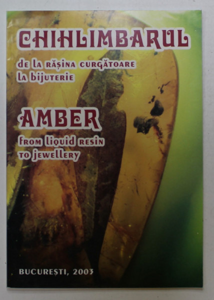 CHIHLIMBARUL , DE LA RASINA CURGATOARE LA BIJUTERIE / AMBER , FROM LIQUID RESIN TO JEWELLERY , 2003