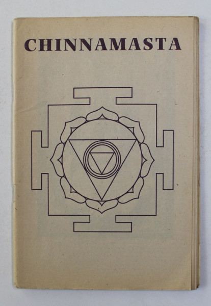 CHINNANMASTA , ANII '90