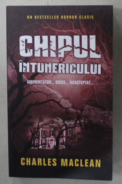 CHIPUL INTUNERICULUI de CHARLES MACLEAN , 2013