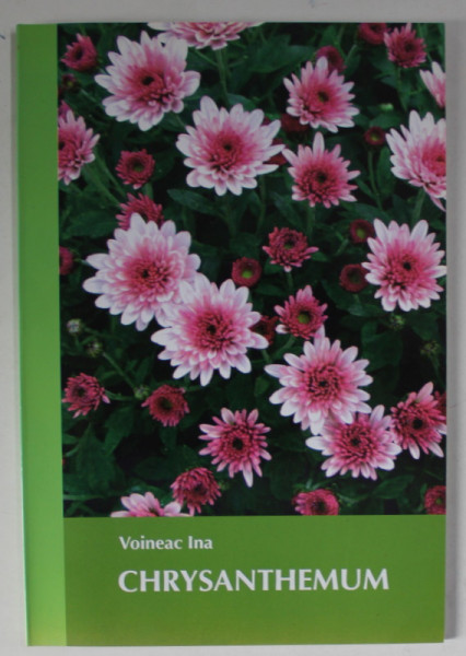 CHRYSANTHEUM de VOINEAC INA , 2021