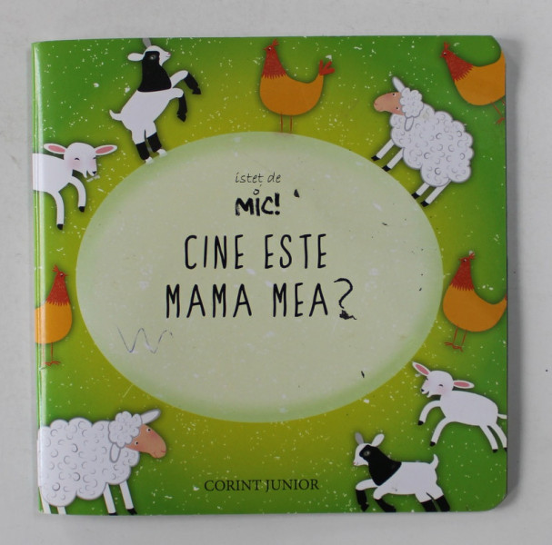 CINE ESTE MAMA MEA ? - ISTET DE MIC , ANII '2000