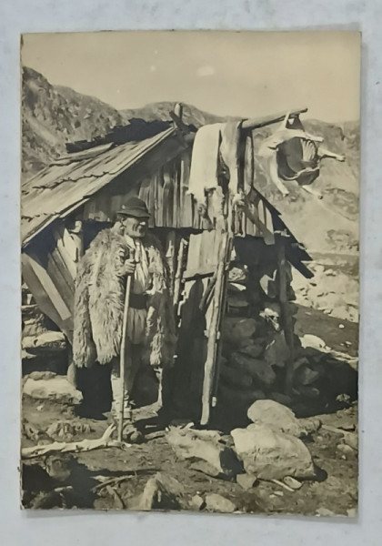 CIOBAN IN FATA STANII , IN MUNTI , FOTOGRAFIE , PERIOADA INTERBELICA