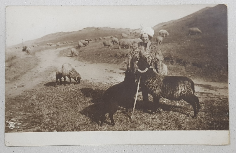 CIOBAN LA  MUNTE , COLECTIA A . BELLU , FOTOGRAFIE TIP CARTE POSTALA , MONOCROMA , CIRCULATA , 1927