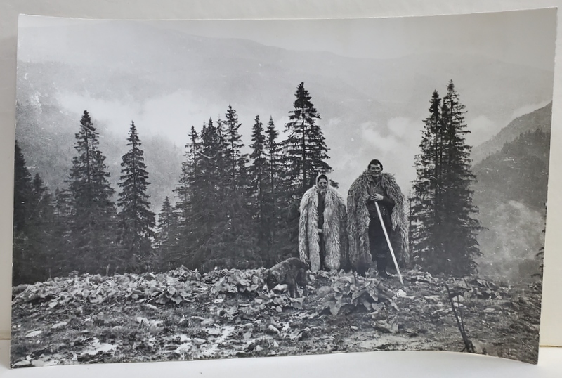 CIOBAN SI CIOBANITA IN MUNTII LOTRULUI , FOTOGRAFIE ANII '60 - 70