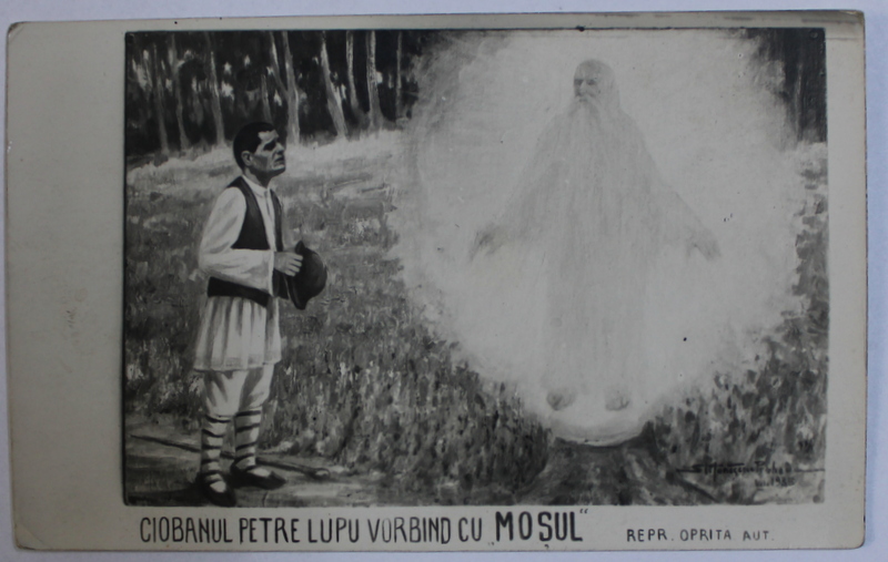 CIOBANUL PETRE LUPU VORBIND CU MOSUL , DESEN DE STEFANESCU  - PRAHOVA , CARTE POSTALA ILUSTRATA , MONOCROMA , NECIRCULATA ,  EDITIE INTERBELICA