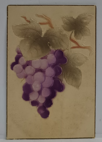 CIORCHINE DE STRUGURE , CARTE POSTALA EMBOSATA , POLICROMA , 1908