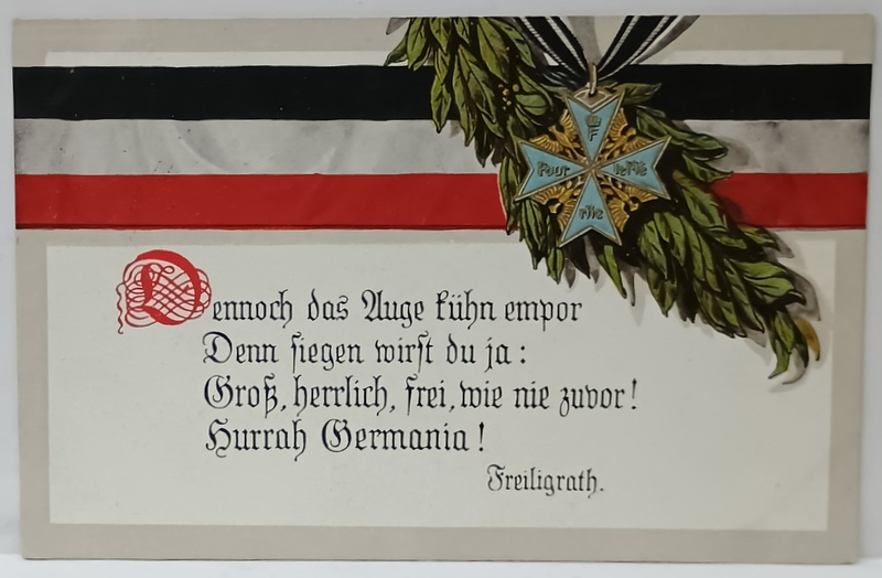 CITIAT MOBILIZATOR DIN POETUL GERMAN FREILIGRATH SI DECORATIA ' POUR LE MERITE ' , CARTE POSTALA DE PROPAGANDA , 1915