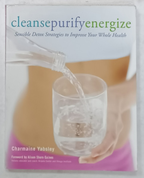 CLEANSEPURIFYENERGIZE , SENSIBLE DETOX STRATEGIES ...by CHARMAINE YABSLEY , 2008