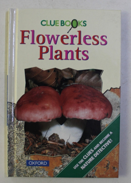 CLUE BOOKS - FLOWERLESS PLANTS by GWEN ALLEN , JOAN DENSLOW , 1997