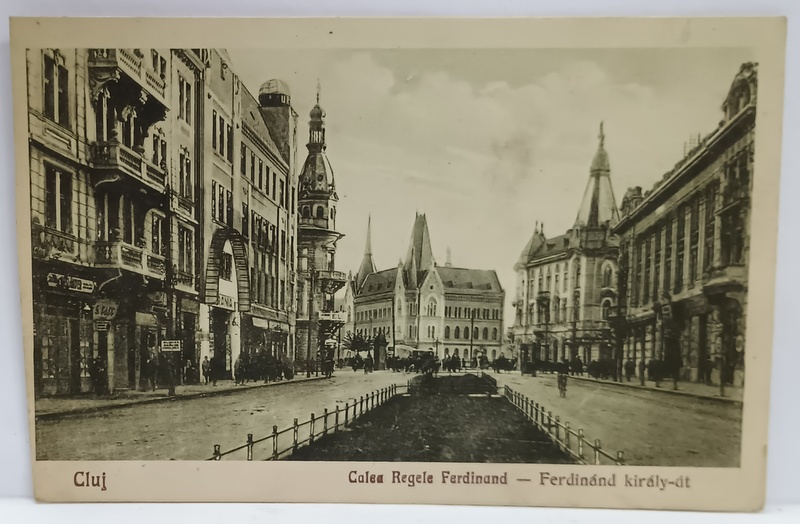 CLUJ , CALEA REGELE FERDINAND , CARTE POSTALA , ANII '20