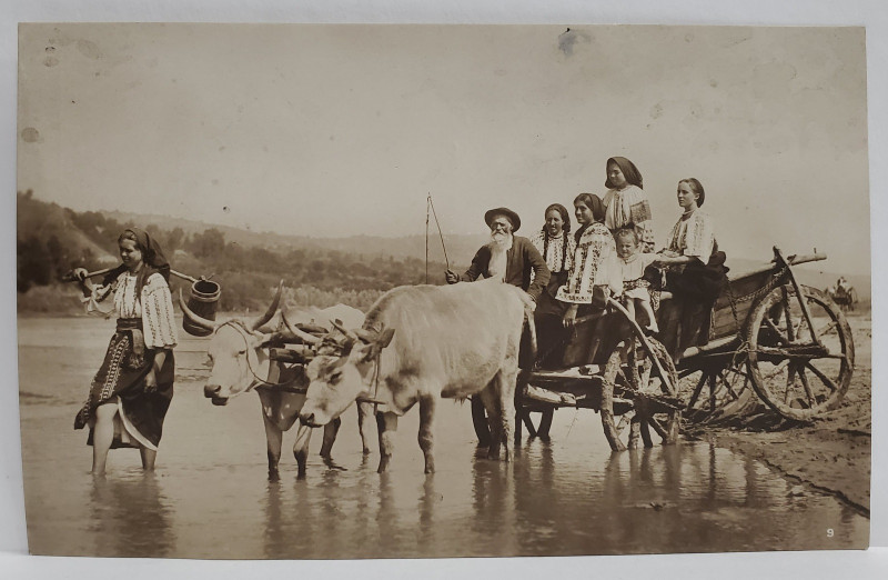 COLECTIA A. BELLU , FAMILIE DE TARANI LA TRECEREA UNUI APE CU CARUL CU BOI , CARTE POSTALA , INTERBELICA