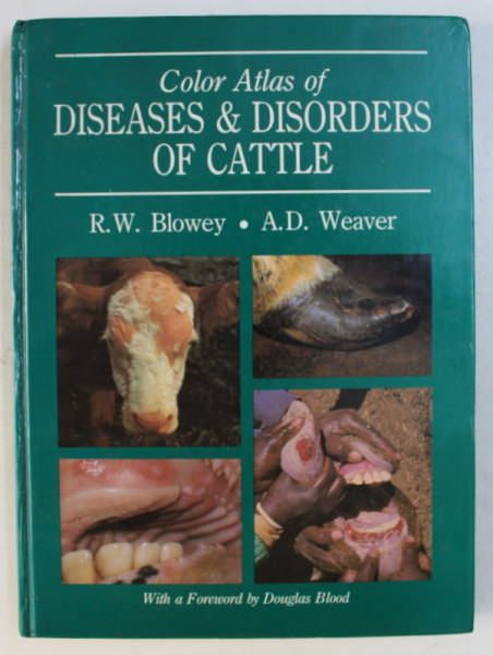 COLOR ATLAS OF DISEAS AND DISORDERS OF CATTLE by R.W. BLOWEY and A.D. WEAVER , 1991