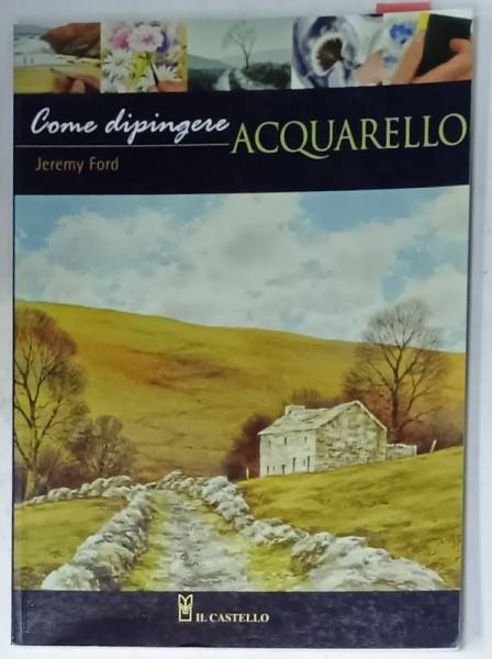 COME DIPINGERE ACQUARELLO di JEREMY FORD , TEXT IN LIMBA ITALIANA , 2009