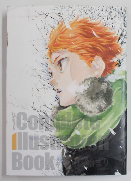 COMPLETE ILLUSTRATION  BOOK , 2020 , DESENE MANGA