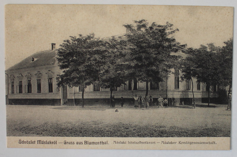 COMUNA MASLOC ( BLUMENTHAL ) TIMIS  , CLADIREA UNIUNII DE CREDIT , CARTE POSTALA , INCEPUTUL SEC. XX
