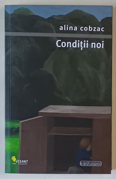 CONDITII NOI , roman de ALINA COBZAC , 2025