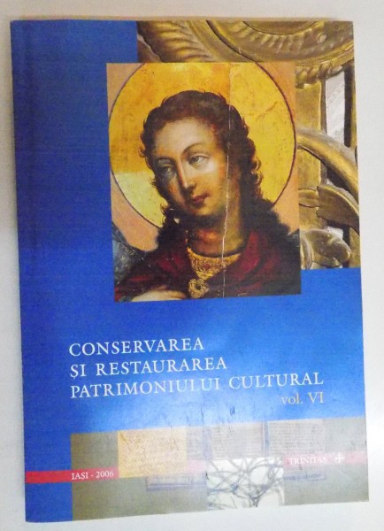 CONSERVAREA SI RESTAURAREA PATRIMONIULUI CULTURAL , VOL. VI , 2006