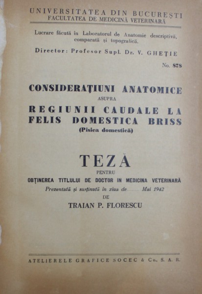 CONSIDERATIUNI ANATOMICE ASUPRA REGIUNII CAUDALE LA FELIS DOMESTICA BRISS (PISICA DOMESTICA) .... COLEGAT DE 4 CARTI , TEZE DE DOCTORAT LA FACULTATEA DE MEDICINA VETERINARA , UNIVERSITA