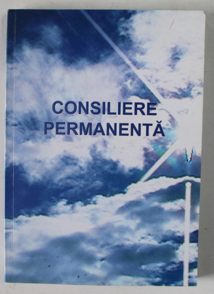 CONSILIERE PERMANENTA , ANALIZA NEVOILOR DE CONSILIERE PE TOATA DURATA VIETII , 2008