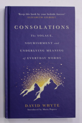 CONSOLATIONS - THE  SOLACE NOURISHMENT AND UNDERLYING MEANING OF EVERYDAY WORDS by DAVID WHYTE , 2019