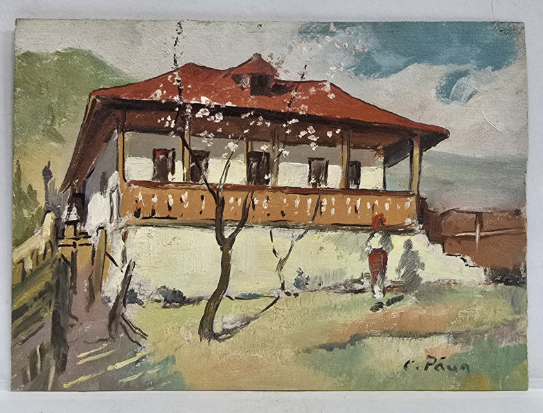 Constantin Paun - Casa la tara