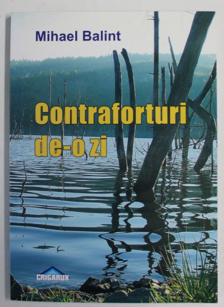 CONTRAFORTURI DE - O ZI de MIHAEL BALINT , 2009