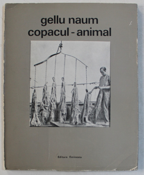 COPACUL - ANIMAL de GELLU NAUM , 1971