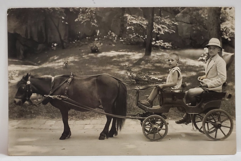 COPII IN TRASURICA TRASA DE PONEI , BUDAPESTA , CARTE POSTALA , 1942