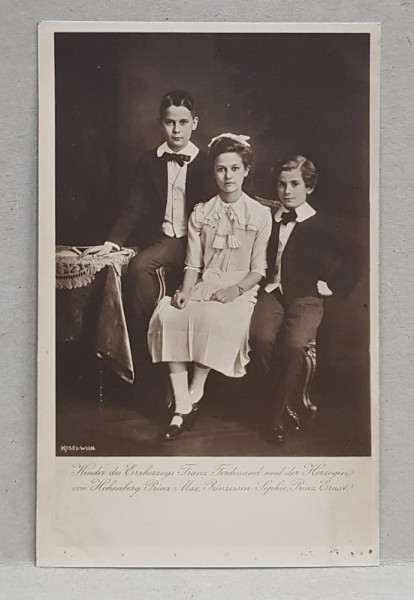 COPIII ARHIDUCELUI FRANZ FERDINAND SI AI ARHIDUCESEI DE HOHENBERG , PRINTUL MAX , PRINTESA SOPHIE , PRINTUL ERNST , CARTE POSTALA ILUSTRATA , MONOCROMA, NECIRCULATA , PERIOADA PRIMULUI RAZBOI MONDIAL