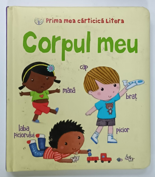 CORPUL MEU , PRIMA MEA CARTICICA  ' LITERA ' , 2018