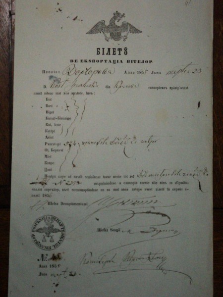 Craiova, bilet de export pentru vite al negustorului Constantin T. punct lucru Borgorova, 1855